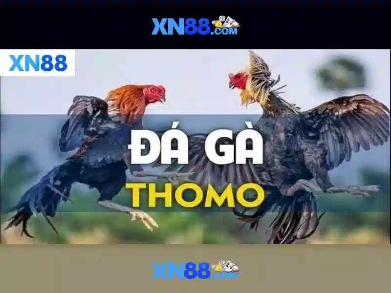 Trò chơi và sự kiện