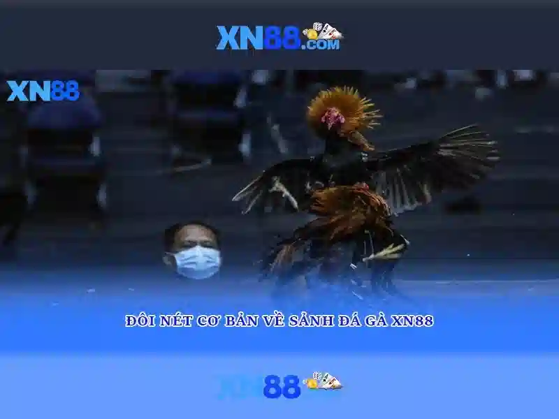Giao diện nhà cái hoàn hảo