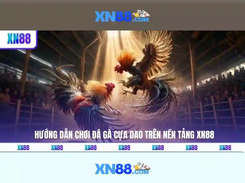 Giới thiệu về xn88
