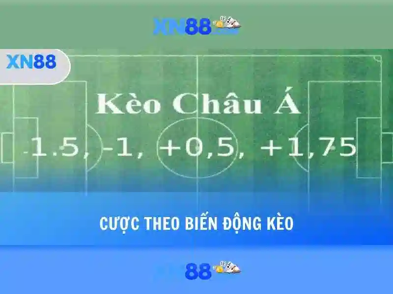 An toàn và trách nhiệm khi chơi