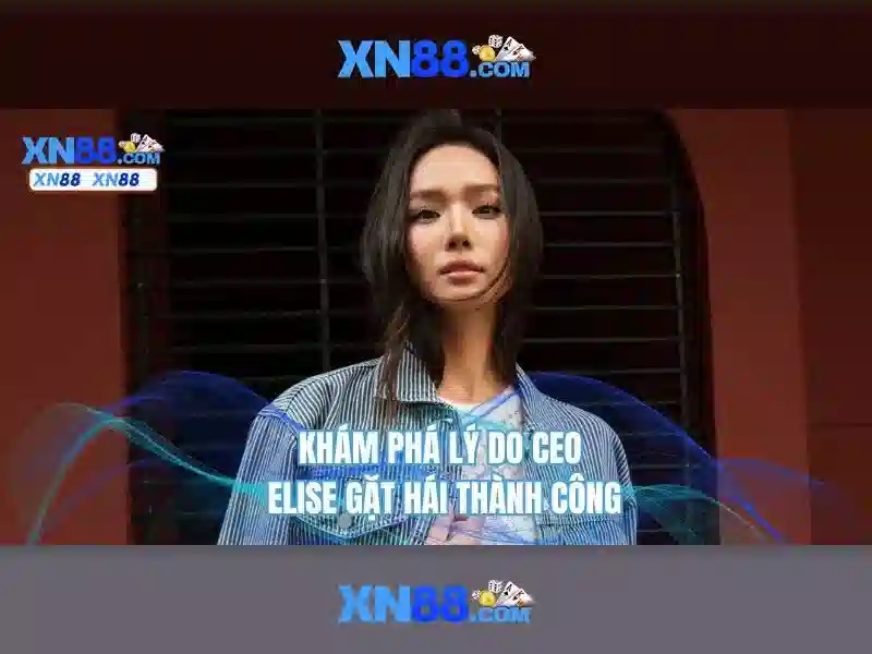 Kết luận
