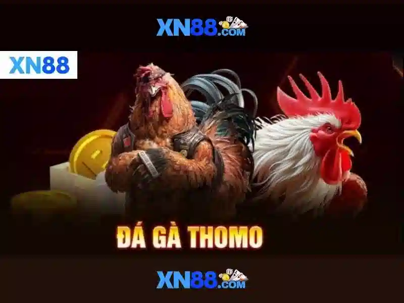 xn88 – Tổng quan, trải nghiệm xn88 và cách tải xn88 đầy đủ