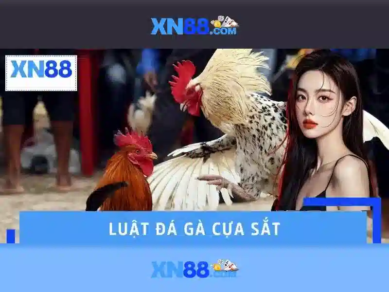 Giới thiệu về xn88
