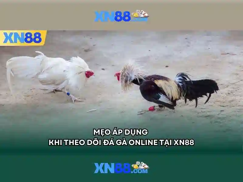 Giao diện nhà cái hoàn hảo