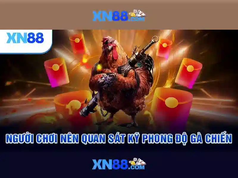 Giới thiệu về XN88