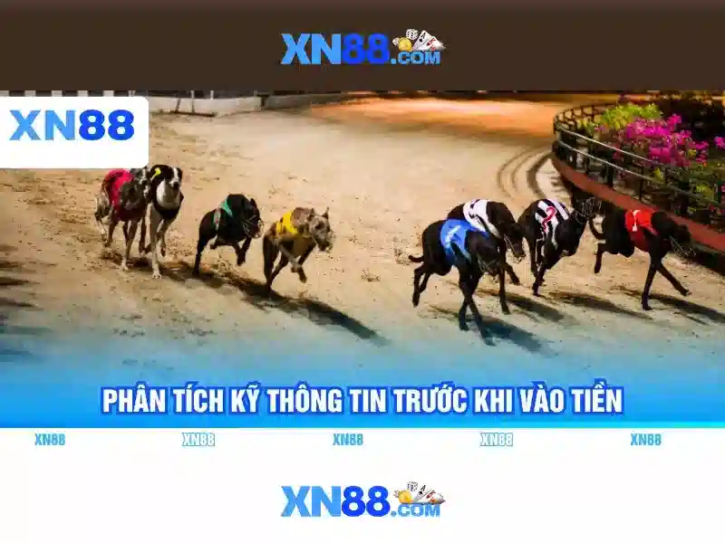 xn88 là gì và cách chơi an toàn