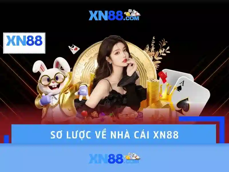 Hướng dẫn cho người mới