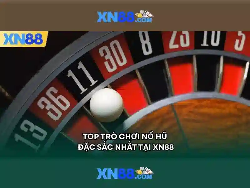 Giới thiệu về xn88
