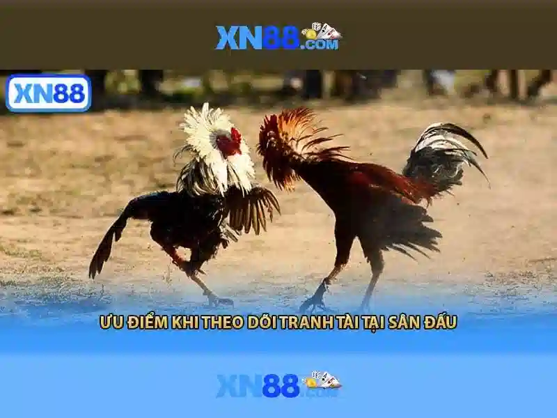 xn88 – Khám phá nền tảng và các tính năng