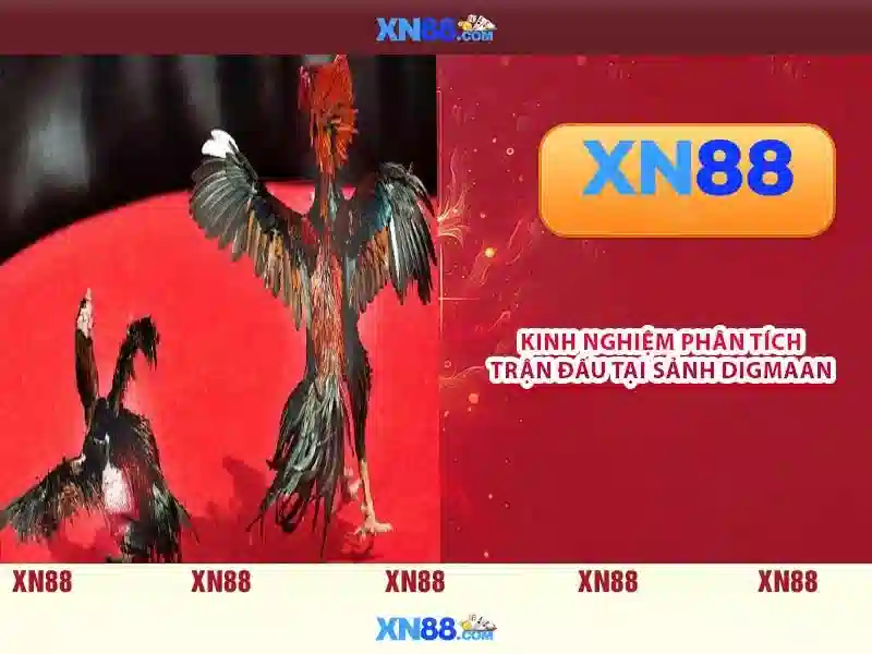 Lịch sử và nguồn gốc của xn88