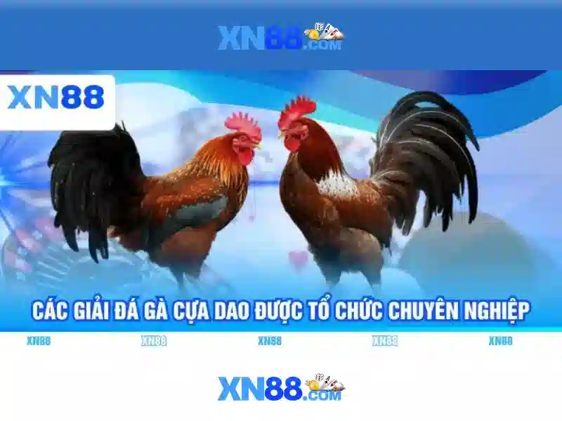 Khám phá xn88: một nền tảng giải trí trực tuyến