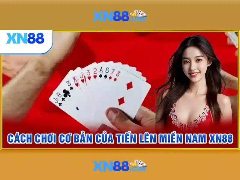 Hướng dẫn đăng ký và quản lý tài khoản\n\n<h2><b>Kết luận</b></h2>\n<p><span style=