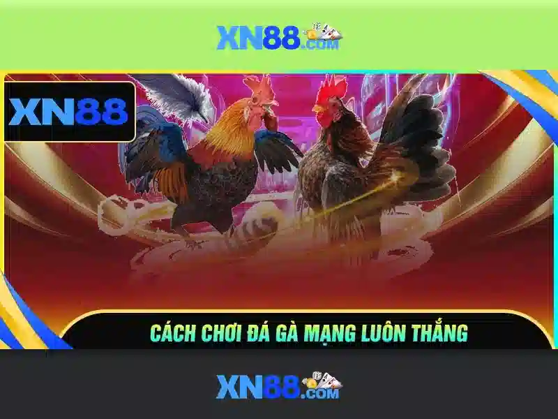 Giao diện nhà cái hoàn hảo