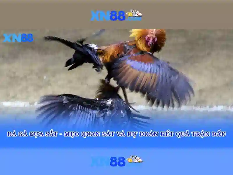 H2. xn88' – Tổng quan chủ đề và giá trị cốt lõi