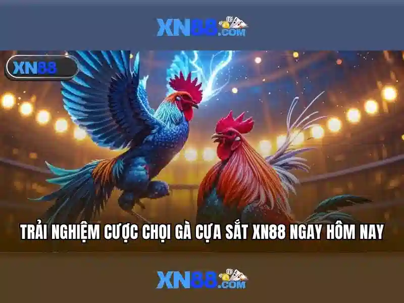 Xn88: Tổng quan về nền tảng và trải nghiệm người dùng