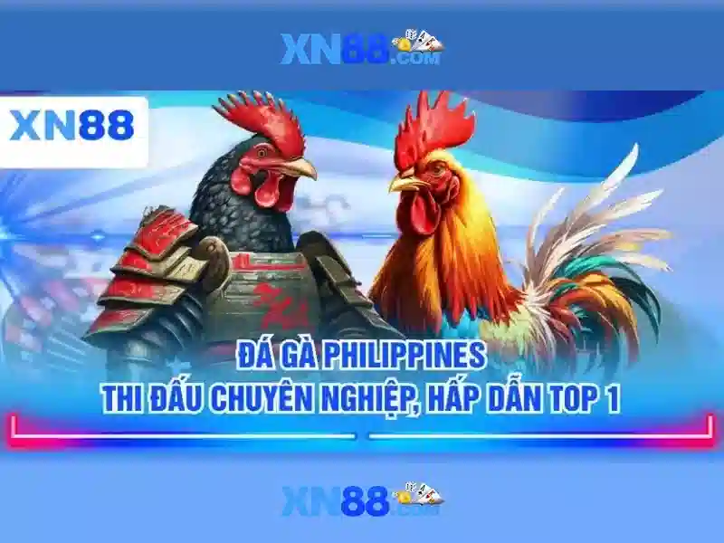 Lý do để người chơi chọn xn88