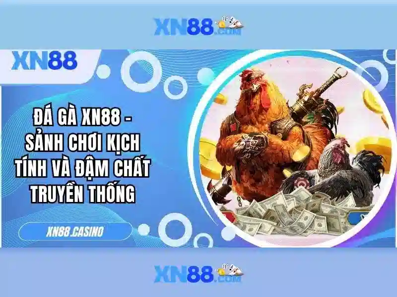 Giới thiệu về xn88