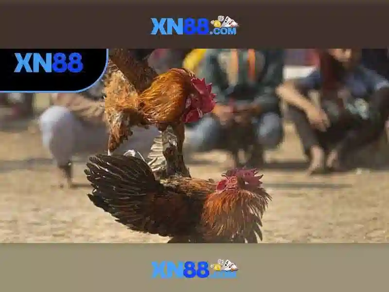 xn88 casino thai: Trải nghiệm đỉnh cao trực tuyến