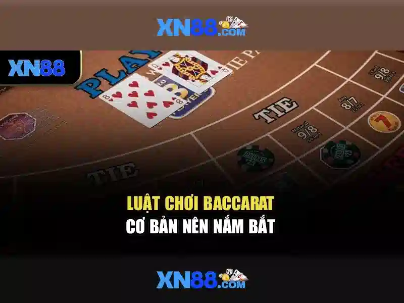 Giới thiệu về xn88