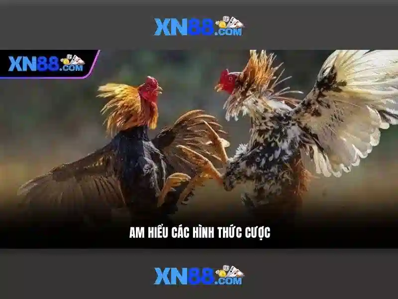 Các trò chơi và cược\n\n<h3>Khuyến mãi và chương trình khách hàng thân thiết</h3>\n<p><span style=
