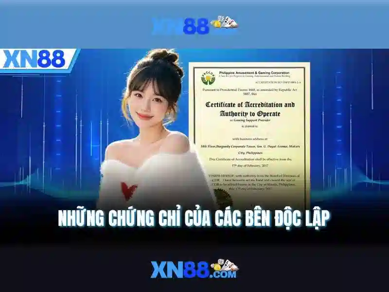 Tổng quan chủ đề và giá trị cốt lõi