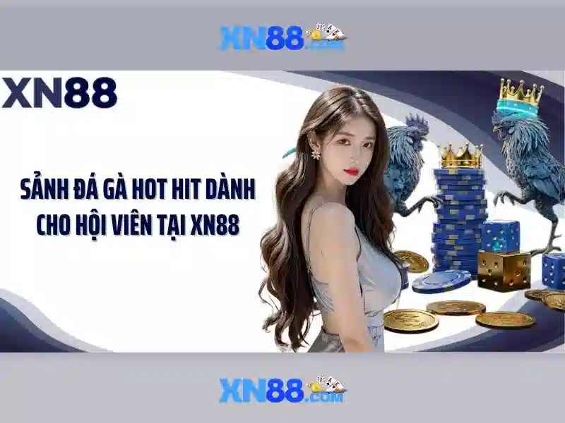 XN88: Tổng quan và đánh giá