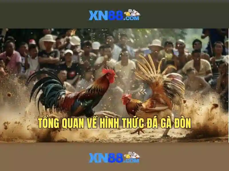 Giao diện nhà cái hoàn hảo