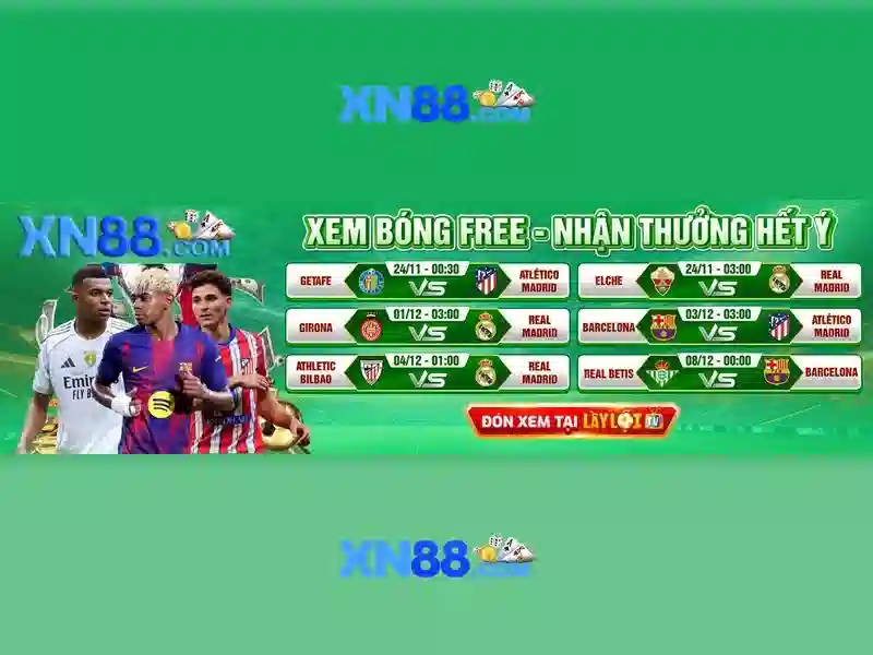 Nền tảng và trải nghiệm người dùng