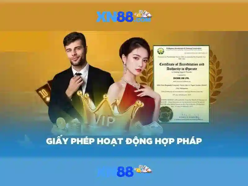 An toàn và trách nhiệm khi tham gia