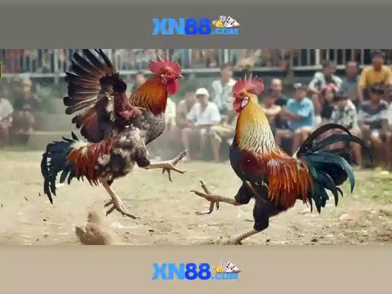 An toan va tin cay\n<h>Cong dong va trai nghiem nguoi dung</h>\n<p><span style=