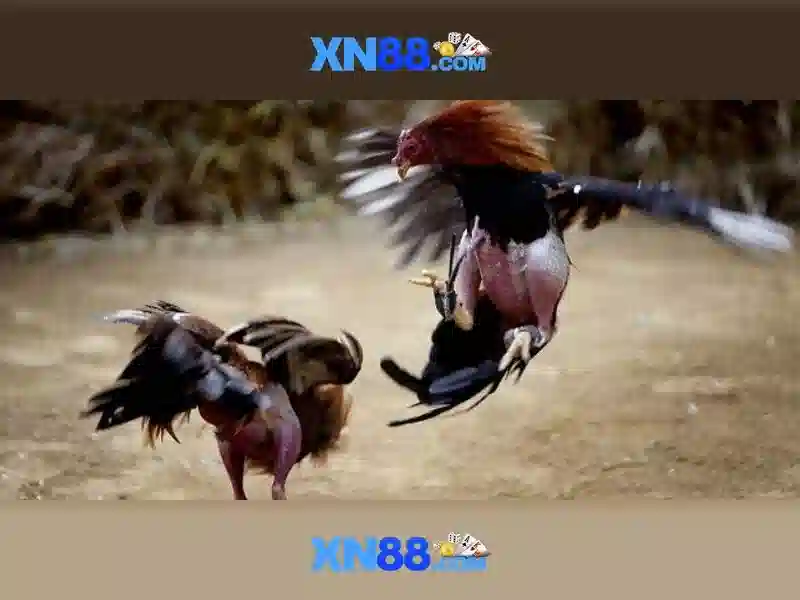 xn88: Nền tảng giải trí trực tuyến và các trò chơi nổi bật