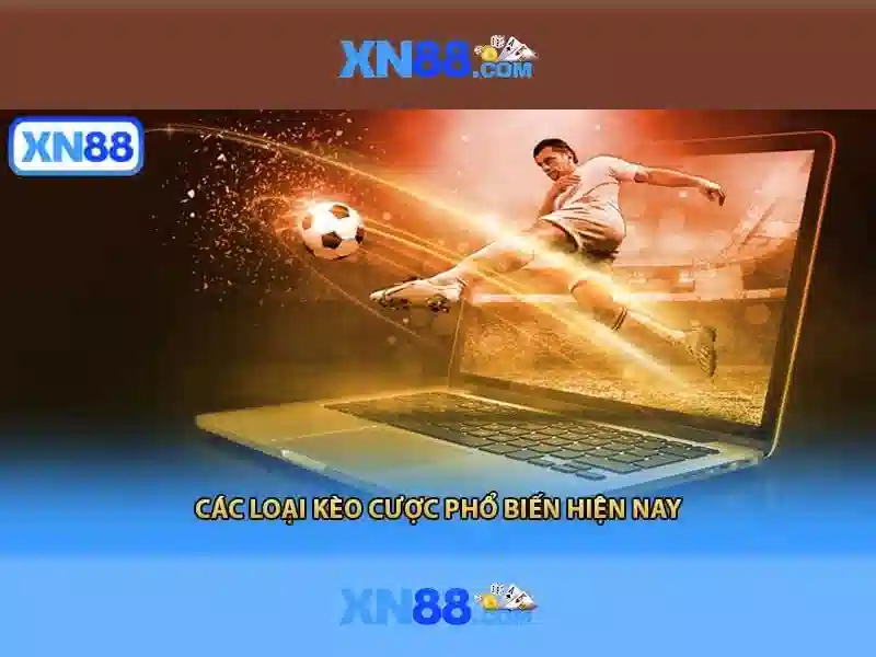 Lịch sử và phát triển
