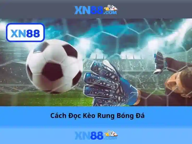 Hướng dẫn bắt đầu