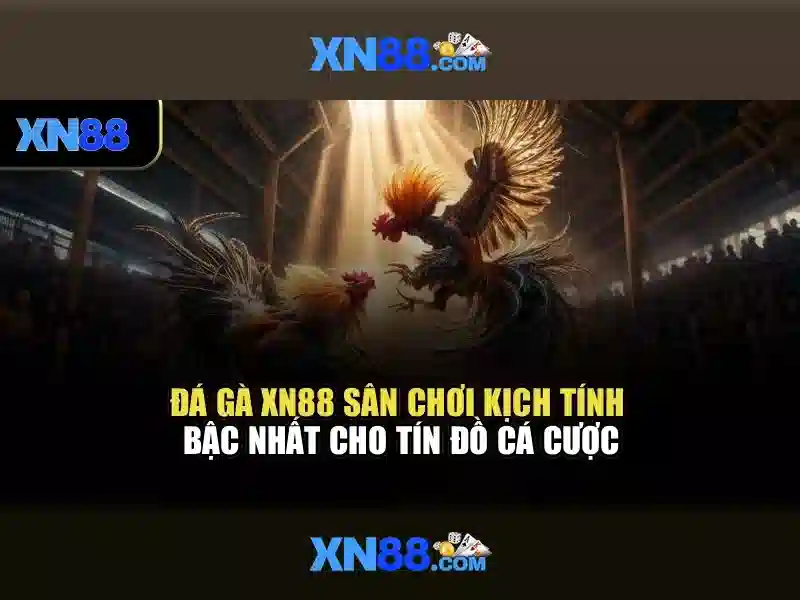 Giới thiệu về xn88