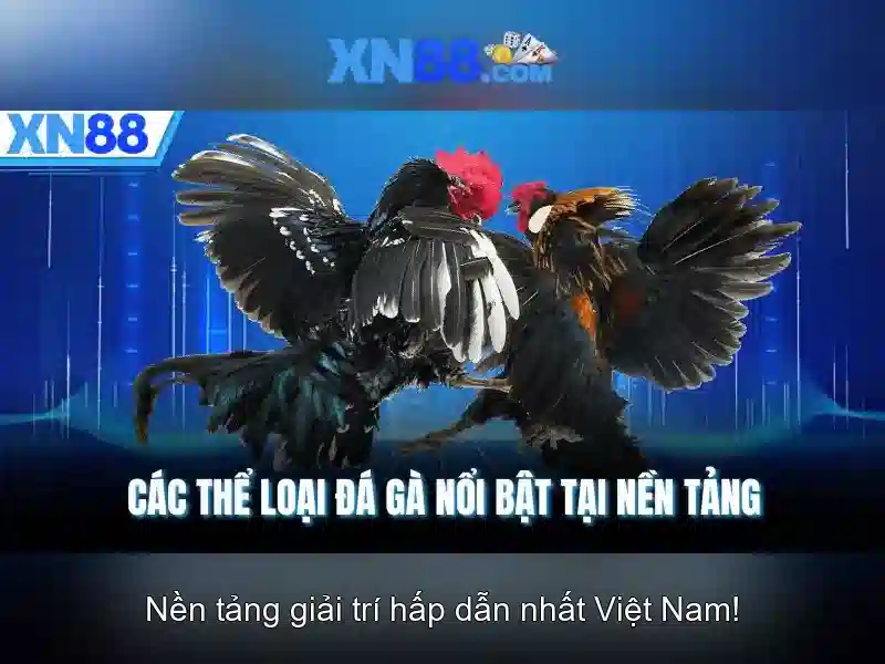 Các trò chơi và tính năng nổi bật
