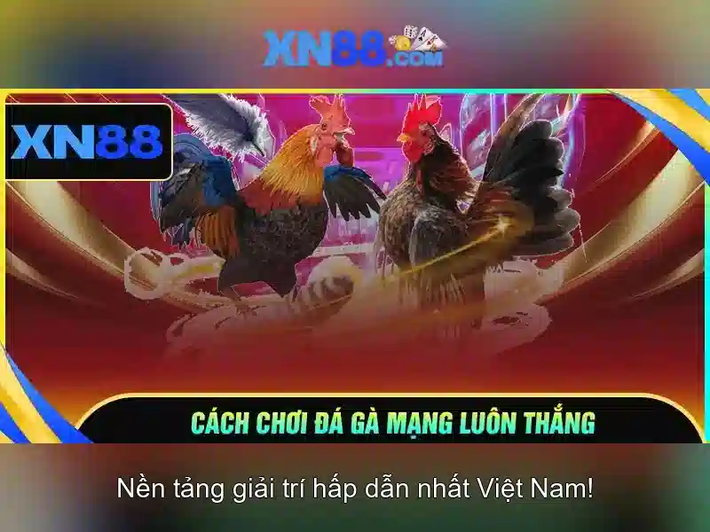 xn88 – Nền tảng cá cược trực tuyến toàn diện