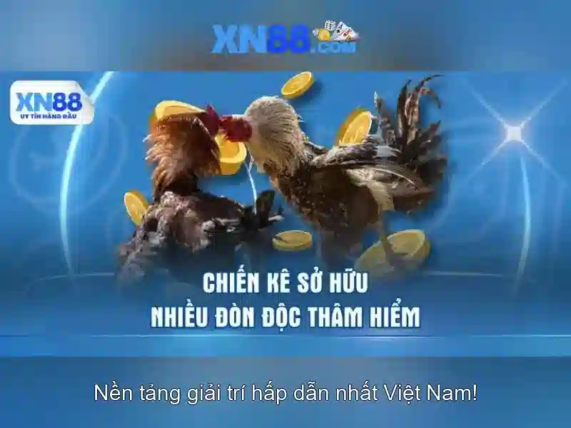 xn88: Tổng quan, chức năng và hướng dẫn tham gia