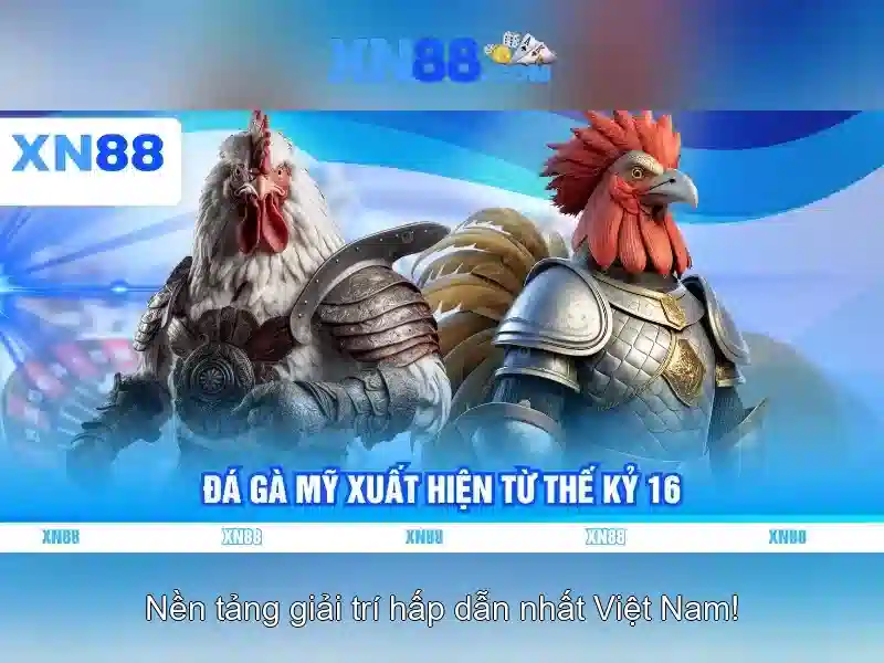 Giới thiệu về xn88