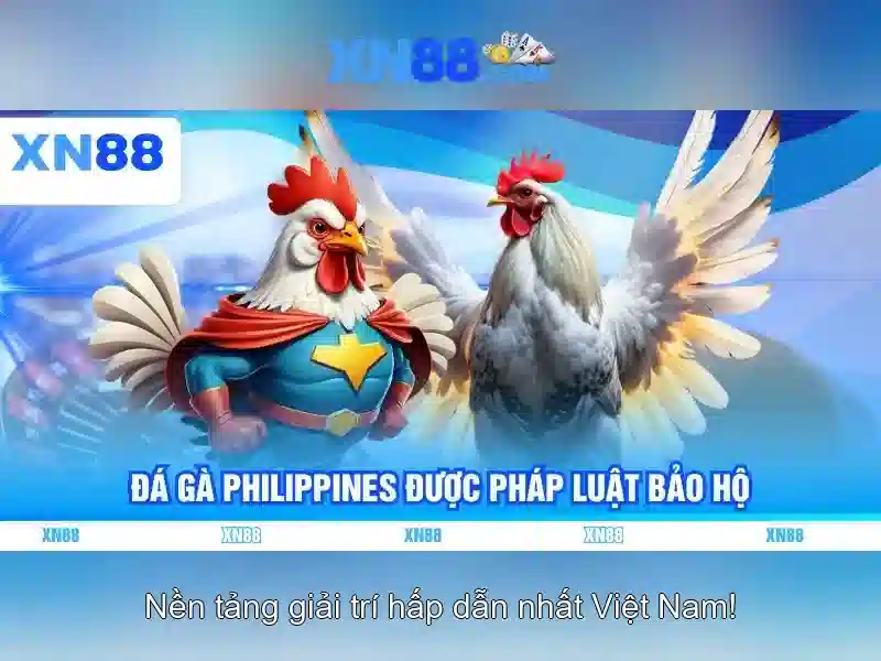 Các loại trò chơi có mặt trên XN88