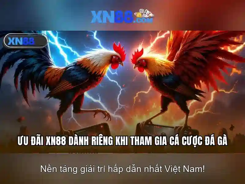 Giao diện nhà cái hoàn hảo