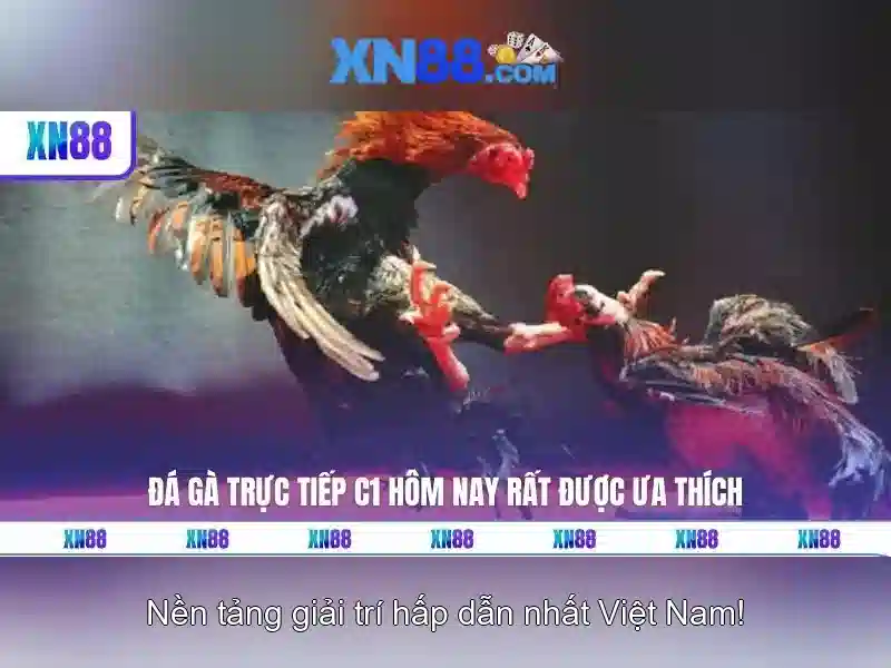 Giao diện nhà cái hoàn hảo