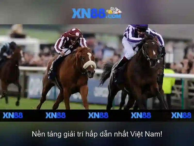 Giao diện nhà cái hoàn hảo