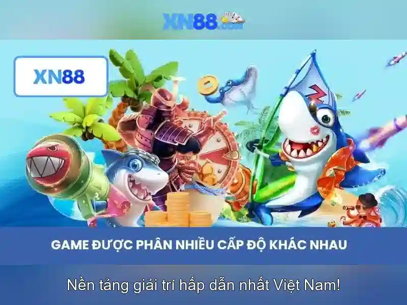Trải nghiệm người dùng và khuyến mãi