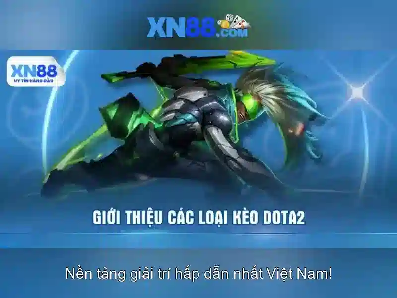 Nền tảng và chức năng