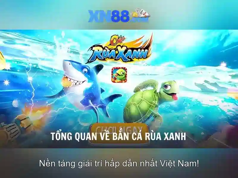 Tổng quan về xn88