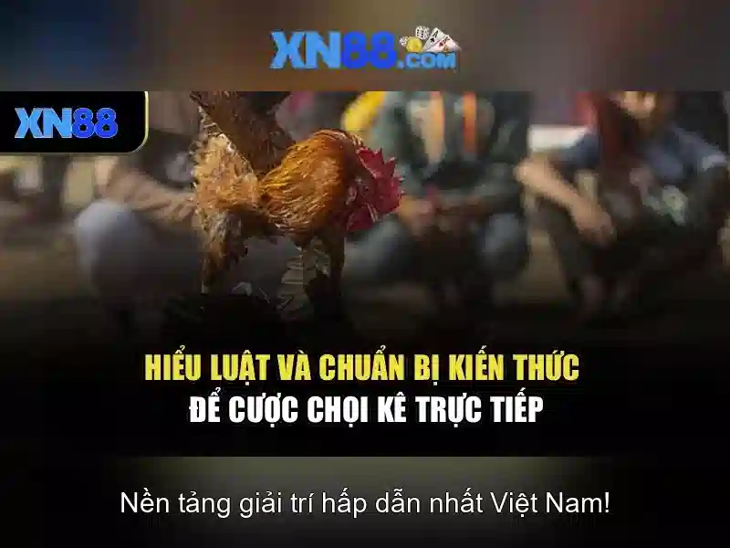Tính năng nổi bật của xn88