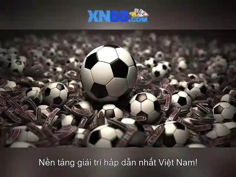 Các tính năng nổi bật