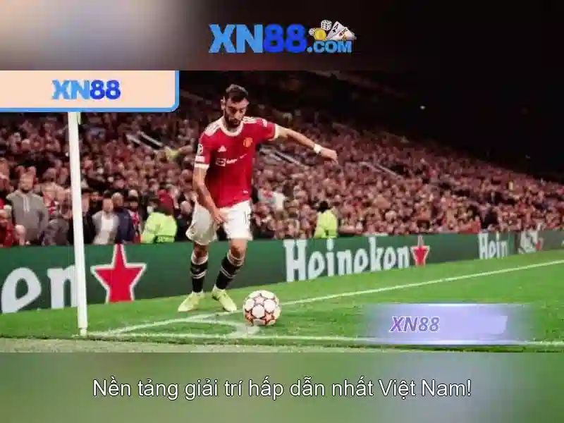 Nền tảng và độ tin cậy