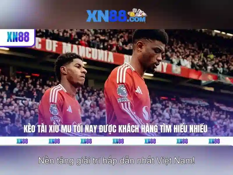 xn88 - Khám phá nền tảng cá cược trực tuyến an toàn