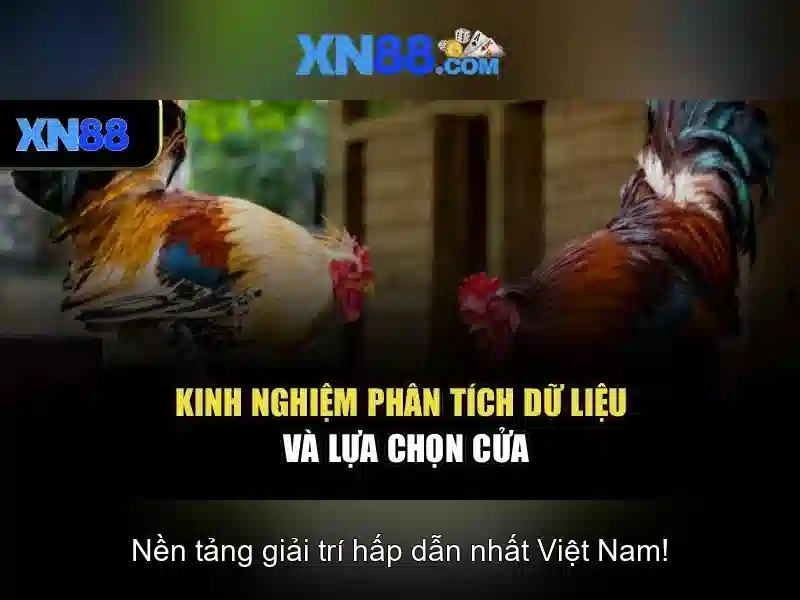 Giao diện nhà cái hoàn hảo